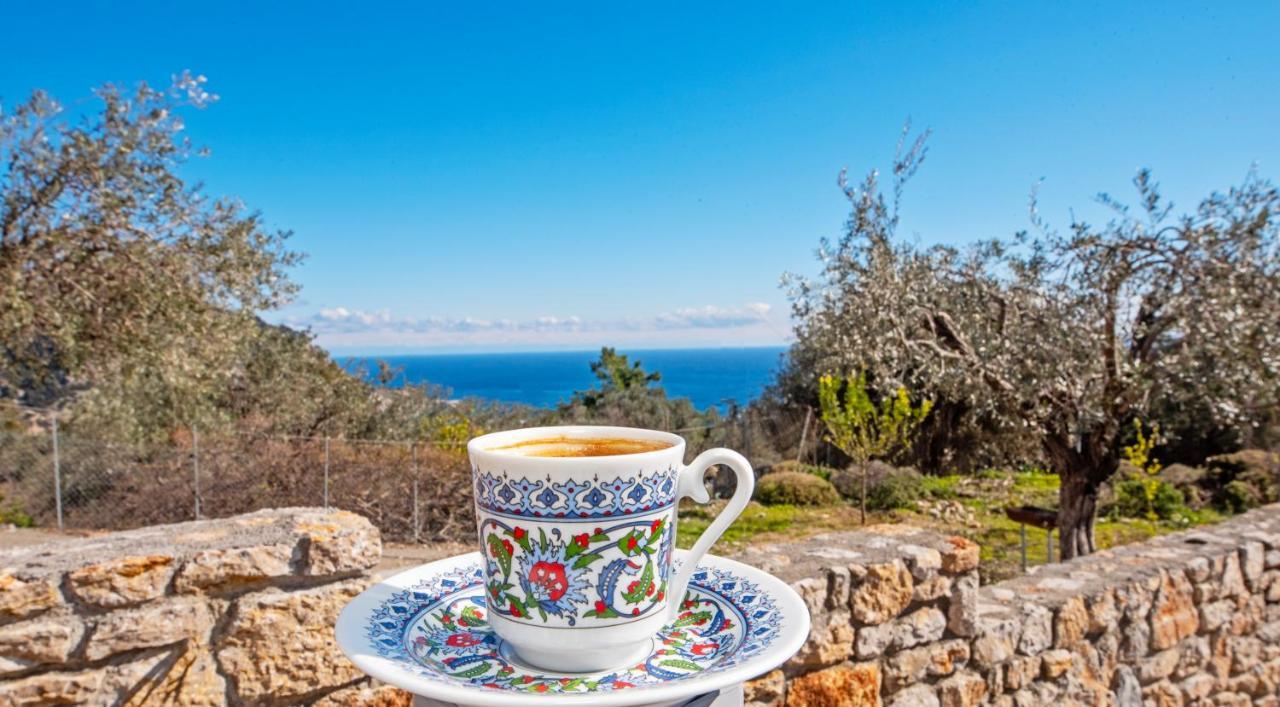 Sea Rock Villa Rodos อาร์คานเยโลส ภายนอก รูปภาพ